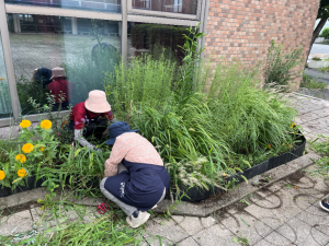 松山市民活動センター