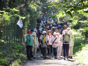 ちご沢の森を歩く