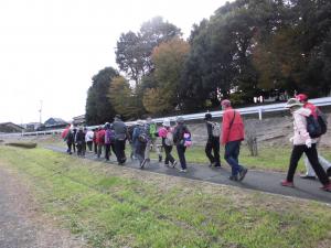 市野川堤を歩く1