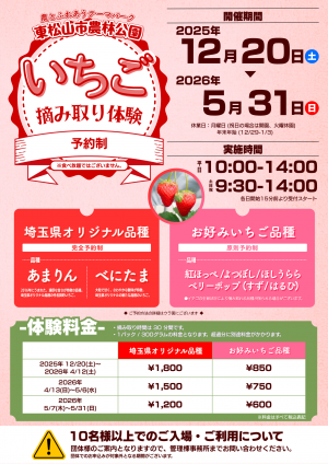 いちご摘み取り体験チラシ(表)
