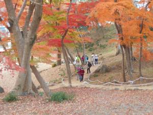 紅葉の公園を歩く