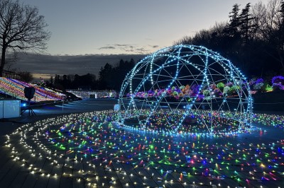 松山ぼたん園　コスモイルミネーションの画像です。
