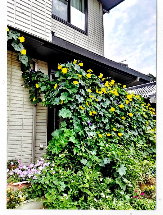 最優秀賞作品の写真