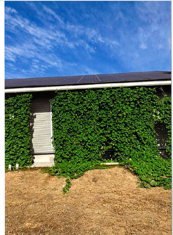 優秀賞の作品写真