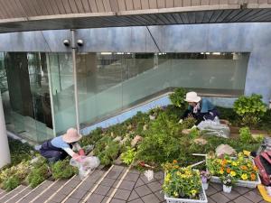 東松山市総合会館外階段
