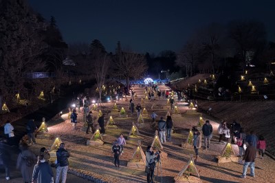東松山ぼたん園 ぼたん展の画像です。