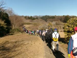 列をなして歩く