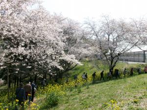 農林公園を歩くウォーカー