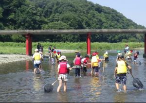 川の生き物調査