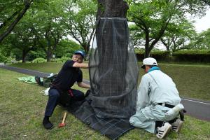 クビアカツヤカミキリ防除研修会の写真3