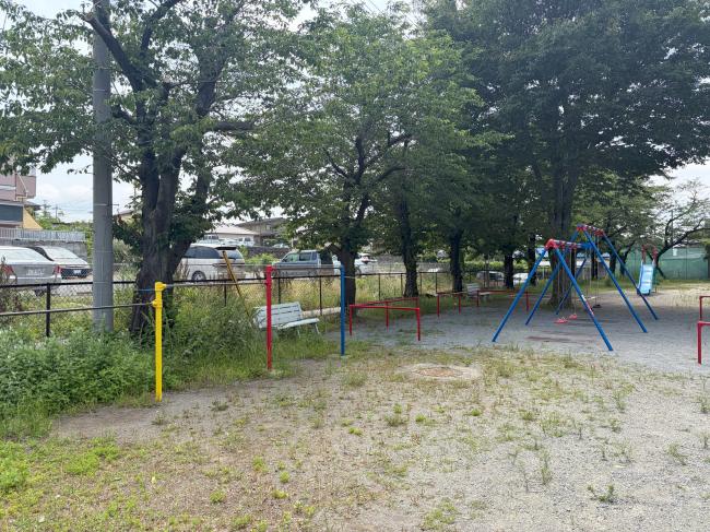 公園内全体
