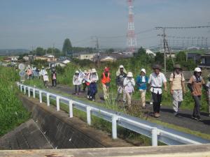 都幾川堤防上