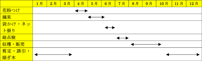 年間作業表