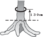 根上りイラスト