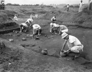 五領遺跡（B区）の発掘調査の画像