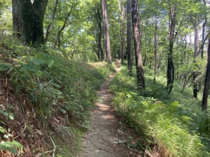 尾根道＿市民の森