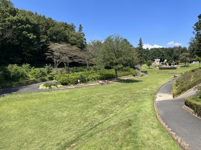 東松山ぼたん園の芝生広場