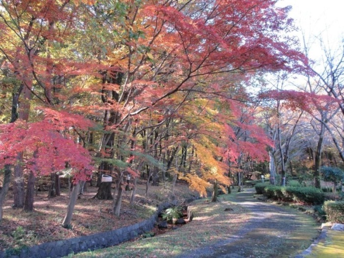 紅葉一＿松風公園