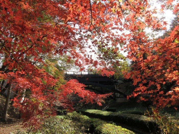 紅葉＿物見山公園