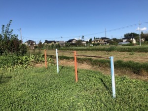 上野本子供広場の鉄棒