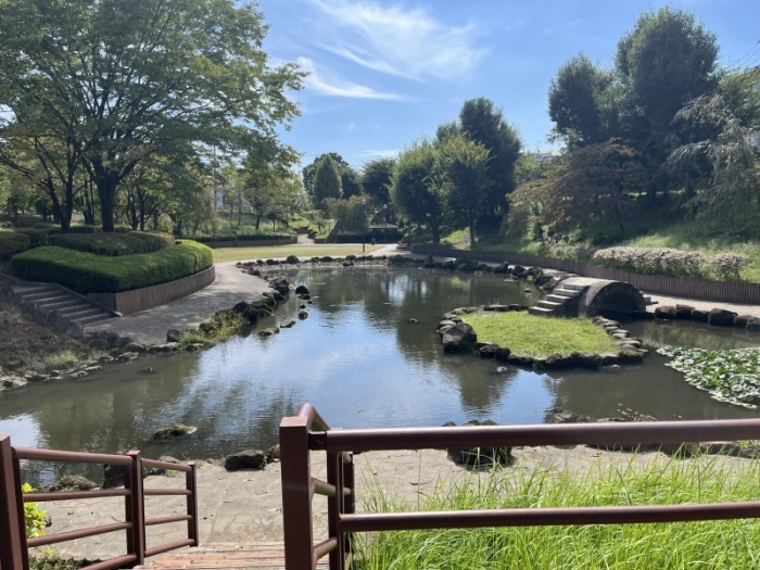 五領沼公園の全景