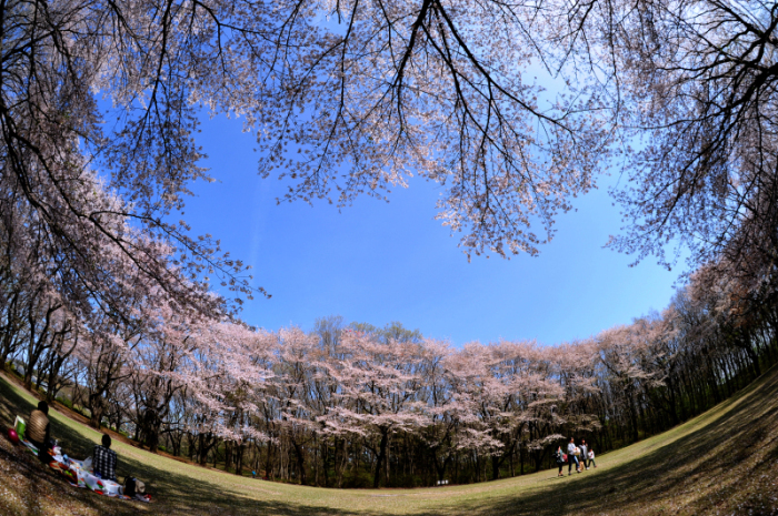 岩鼻運動公園広場