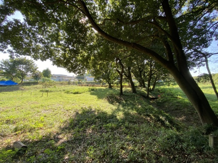 市ノ川車掘公園の全景