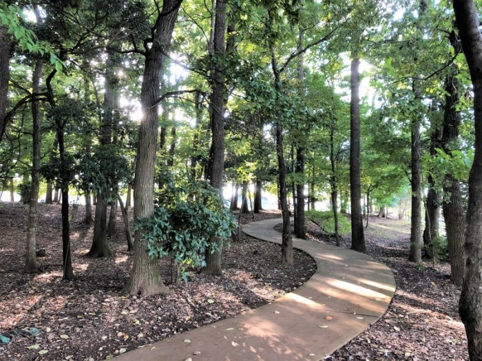 市野川近隣公園の全景