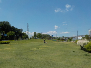 芝生広場_折本山公園