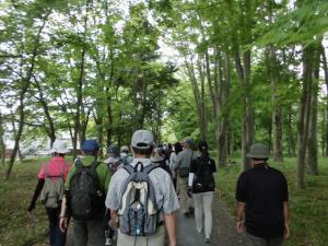 森林を歩くウォーカー