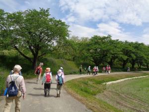 土手沿いを歩くウォーカー