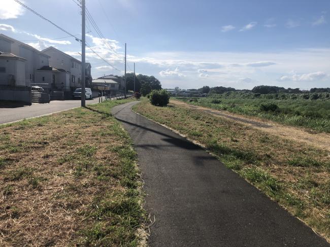 市の川堤防散策路の全景