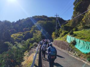 もう少しでみかん狩り