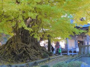 ウォーキング３