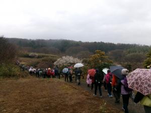 傘をさして歩くウォーカー