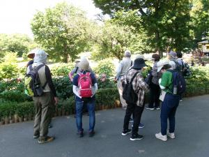 芍薬を見ながら一休み