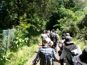 木々の中を歩くウォーカー