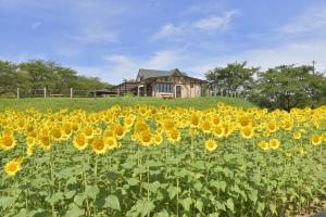 2020年にオープンした農林公園の丘の上のカフェHeuvelの様子