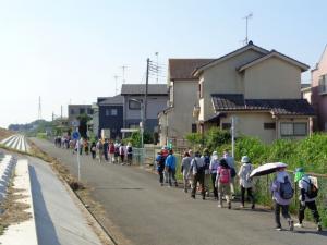 市野川土手脇の道を歩く