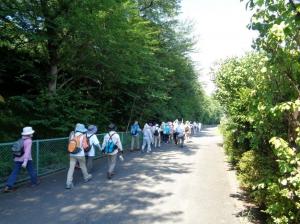 柏崎緑陰を歩く