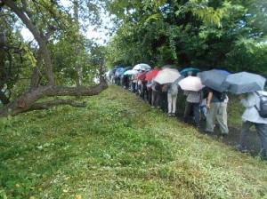 傘をさし、あるくウォーカー