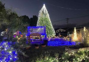 松本町一丁目緑地のイルミネーション１