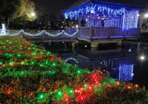 上沼公園のイルミネーション１