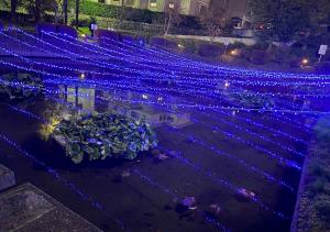 下沼公園のイルミネーション２