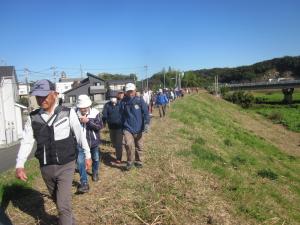 市野川土手を歩く
