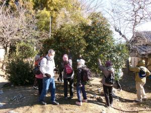 光福寺でのキンカン狩り