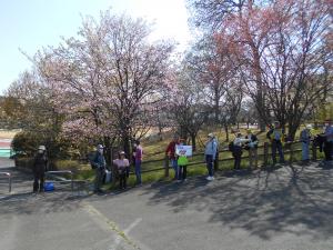 陸上競技場サクラ